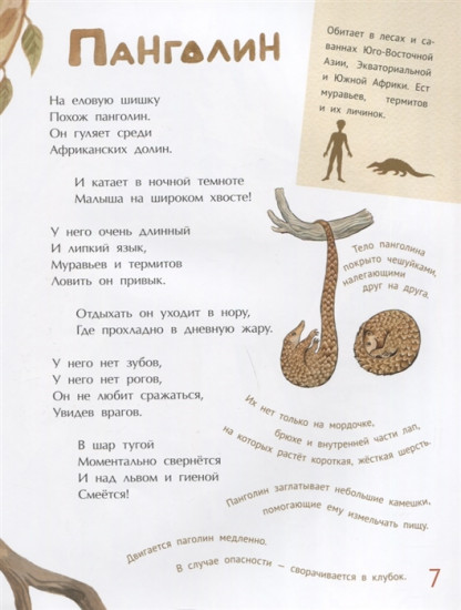 Необыкновенные звери