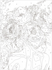 Картина по номерам «Девушка-пион» - Фото 2