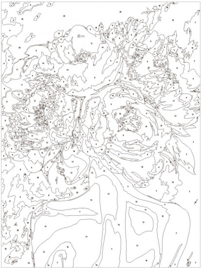 Картина по номерам «Девушка-пион»