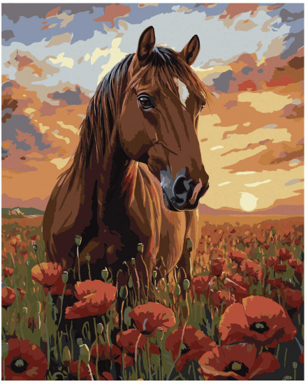 Картина по номерам «Лошадь в маковом поле»