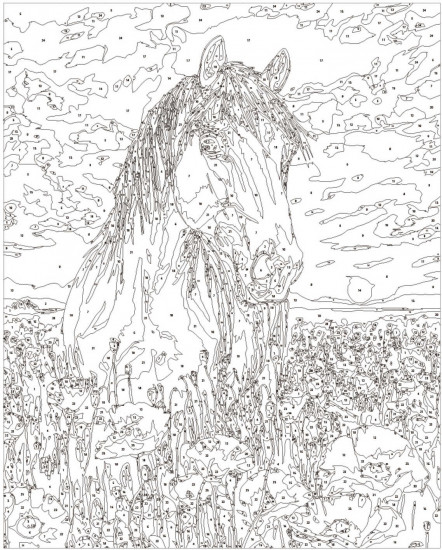 Картина по номерам «Лошадь в маковом поле»