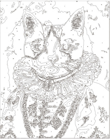 Картина по номерам «Благородный кот»