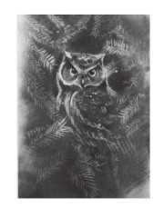 Тень под куполом - Фото 9