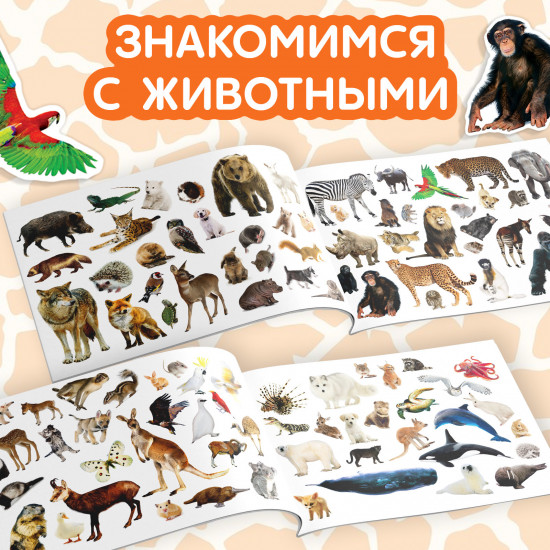 Набор наклеек детских «100 наклеек. Животные со всего света»