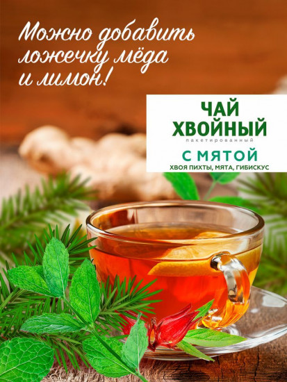 Чай хвойный «С мятой»