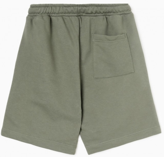 Шорты мужские