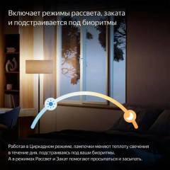 Умная лампочка YNDX-00558, работает с Алисой - Фото 4