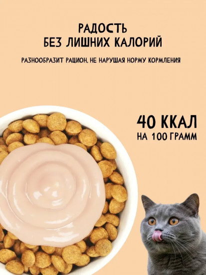 Лакомство для кошек «Соус мясной с индейкой»