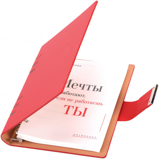 Ежедневник