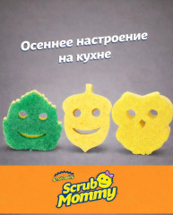 Набор губок универсальных «Scrub Mommy Autumn» - Фото 1