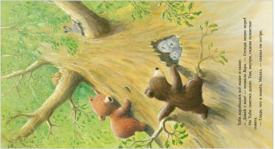 Книжки-картинки. Секрет храброго медвежонка