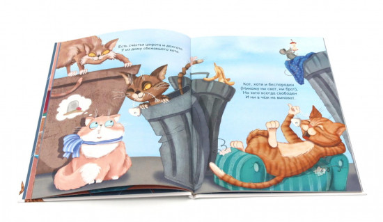 Кот и вот. Чучело-мяучело. Где твой друг? Комплект из 3 книг