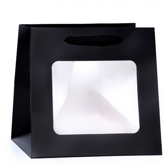 Пакет подарочный