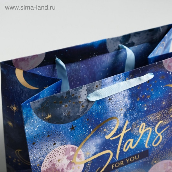 Пакет подарочный