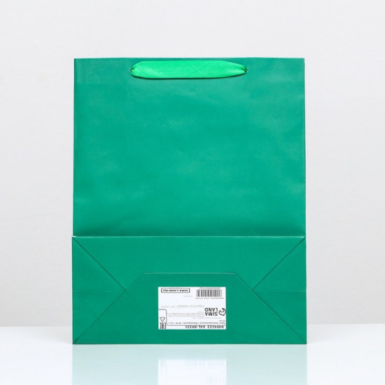Пакет подарочный «Зелёный»