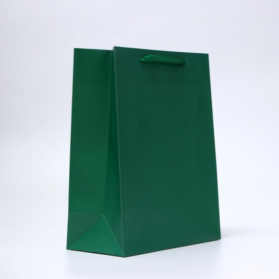 Пакет подарочный «Зелёный»
