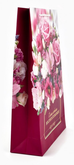 Пакет подарочный