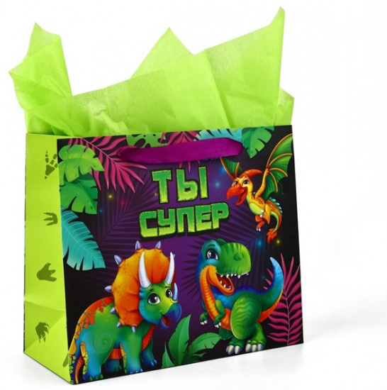 Пакет с открыткой «Динозаврики»
