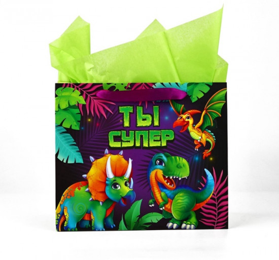 Пакет с открыткой «Динозаврики»