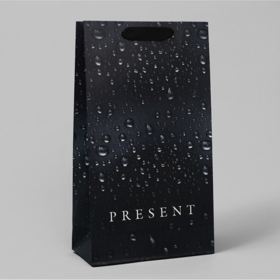 Пакет подарочный под две бутылки