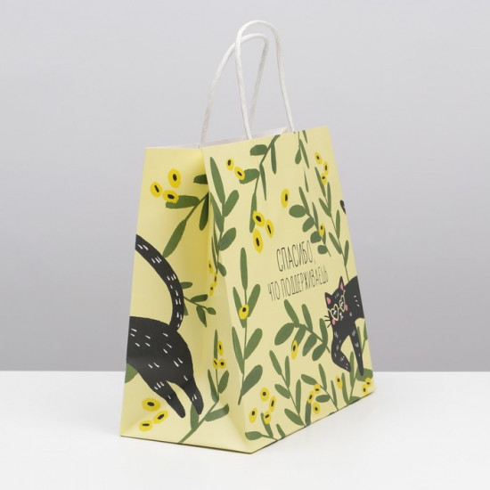 Пакет подарочный