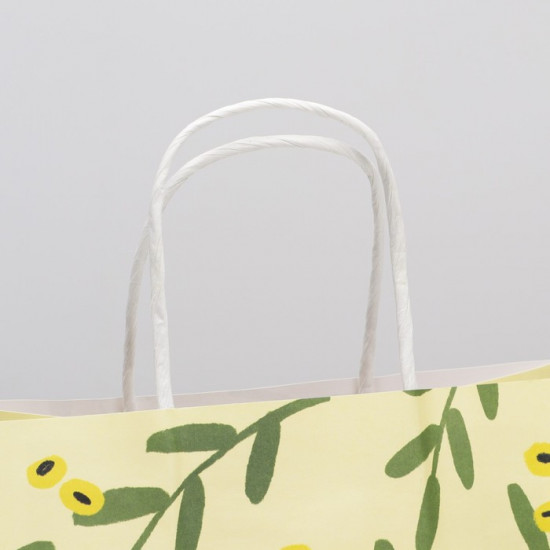 Пакет подарочный