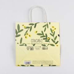 Пакет подарочный - Фото 3