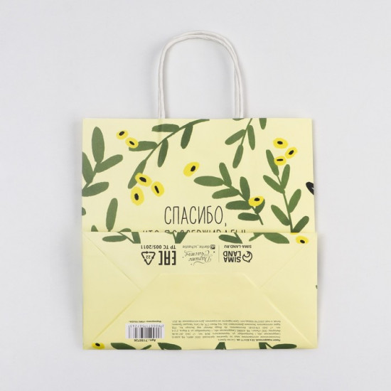 Пакет подарочный