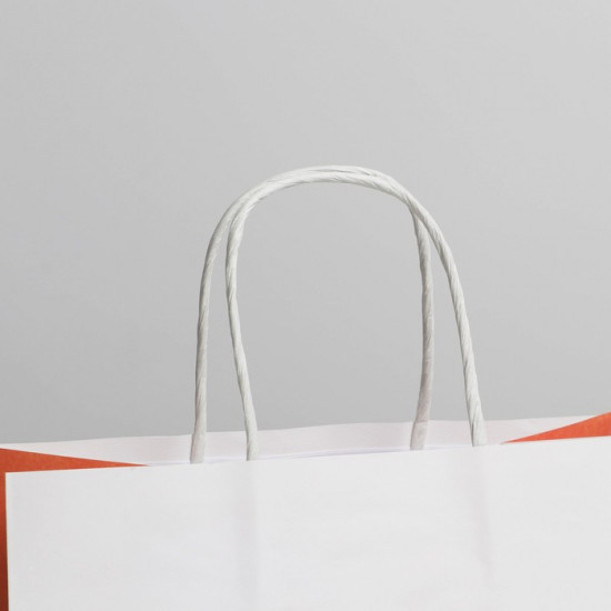 Пакет подарочный