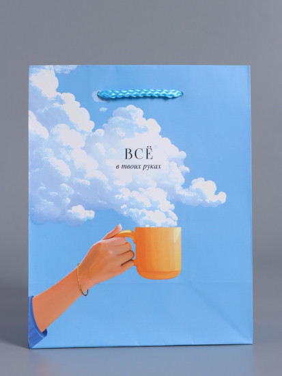 Пакет подарочный «Всё в твоих руках»