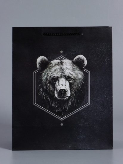 Пакет подарочный «Мужской выбор»