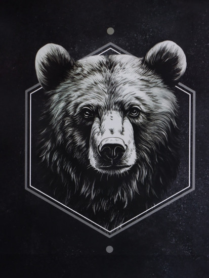 Пакет подарочный «Мужской выбор»