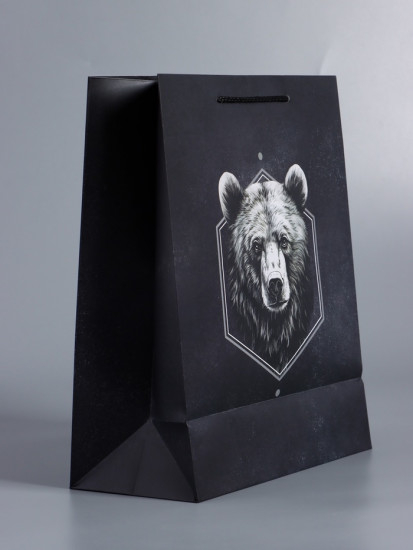 Пакет подарочный «Мужской выбор»