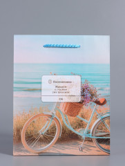 Пакет подарочный «Путь к мечте» - Фото 1