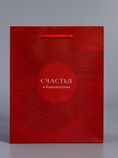 Пакет подарочный «С уважением!»