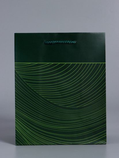 Пакет подарочный «Сдержанный шарм»