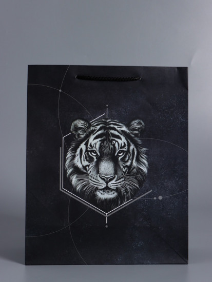 Пакет подарочный «Сила характера»