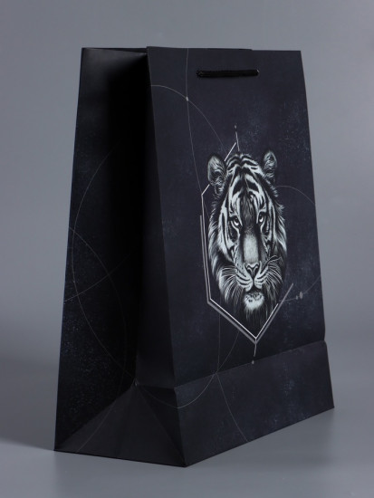 Пакет подарочный «Сила характера»