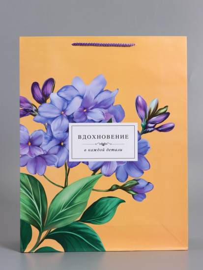 Пакет подарочный «Тонка эстетика»