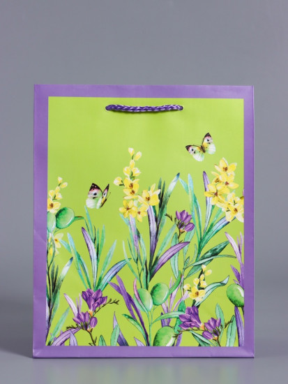 Пакет подарочный