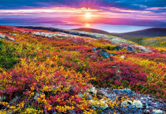 Пазл «Северная палитра» - Фото 1