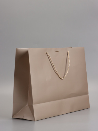 Пакет подарочный