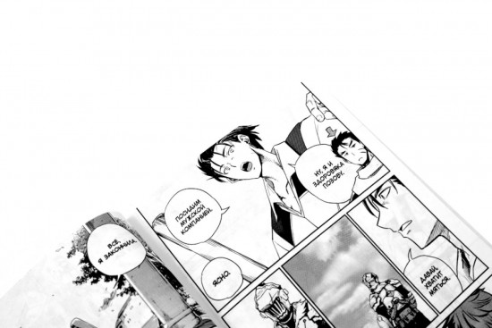 Убийца гоблинов. Том 12