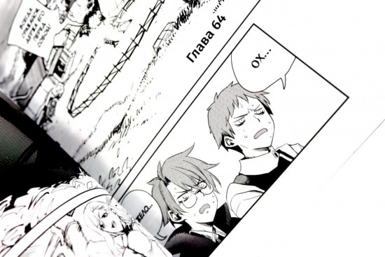 Убийца гоблинов. Том 12