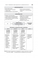 Военно-полевая хирургия - Фото 3
