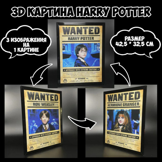 Картина голографическая 3D Гарри Поттер