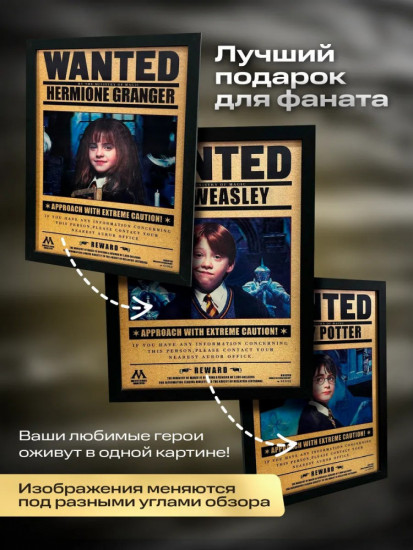 Картина голографическая 3D Гарри Поттер