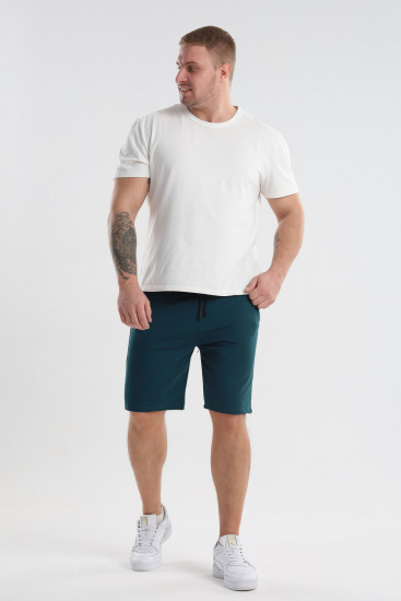 Шорты мужские