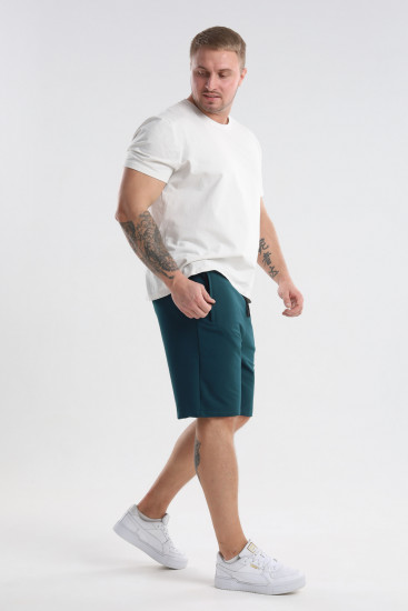 Шорты мужские