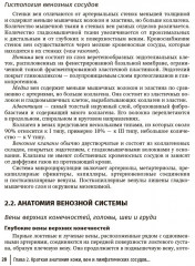 Эстетическая флебология - Фото 11